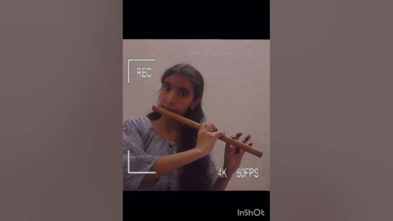 Raga hamsadhvani krrish tune flute 🎶music #deep #hindustani #classical #flute