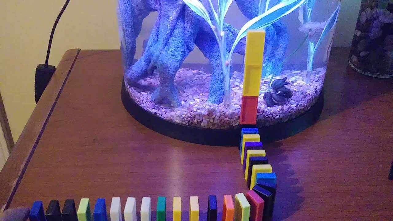 camera iphone 8 plus apk DOMINO TRICK(NOT BEACH BALL RELATED)