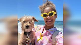 Amanda Seales Biography, Height, Weight, Age, Net Worth, Education, Family, Career, Fashion, Style