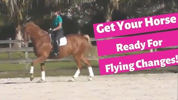 How To Prepare Your Horse For Flying Changes