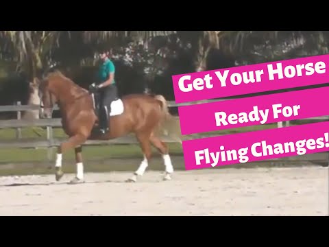 How To Prepare Your Horse For Flying Changes