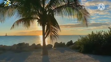 سوره القيامه بصوت تخشع له القلوب