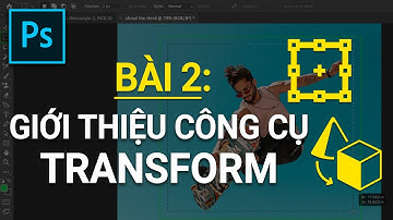 Bài 2: Giới thiệu công cụ Transform trong Photoshop - Học Photoshop online