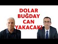 DOLAR, BUĞDAY CAN YAKACAK!!!