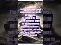#God #Jesus #endtimes #bible #heaven