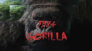 5384 - GORILLA