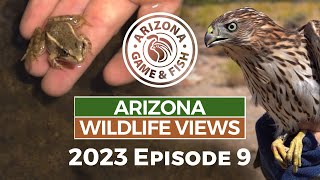 2023 Arizona Wildlife Views Episode 9 - 30 Minutes