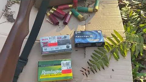 Remington 870 Slug Accuracy Test: Which shoots best?