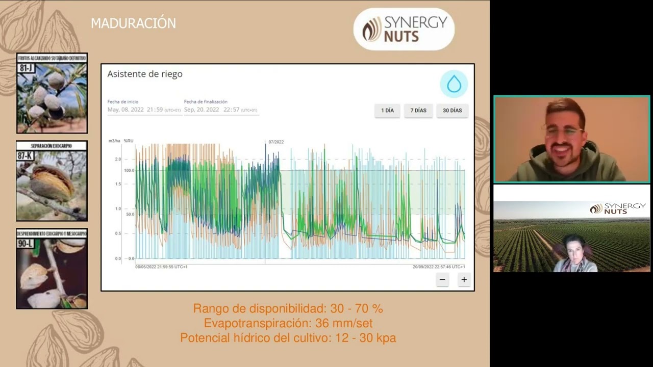 ¿Cómo regar durante la maduración de la almendra?