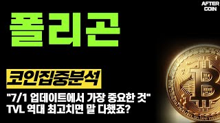 [폴리곤 코인]  