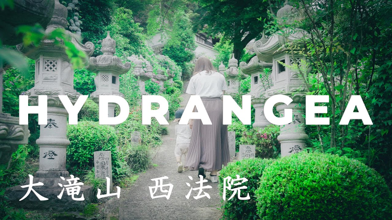 大滝山 西法院 Hydrangea Portrait Film 紫陽花寺 岡山県備前市 Cinematic Vlog Shot By Sony s Youtube