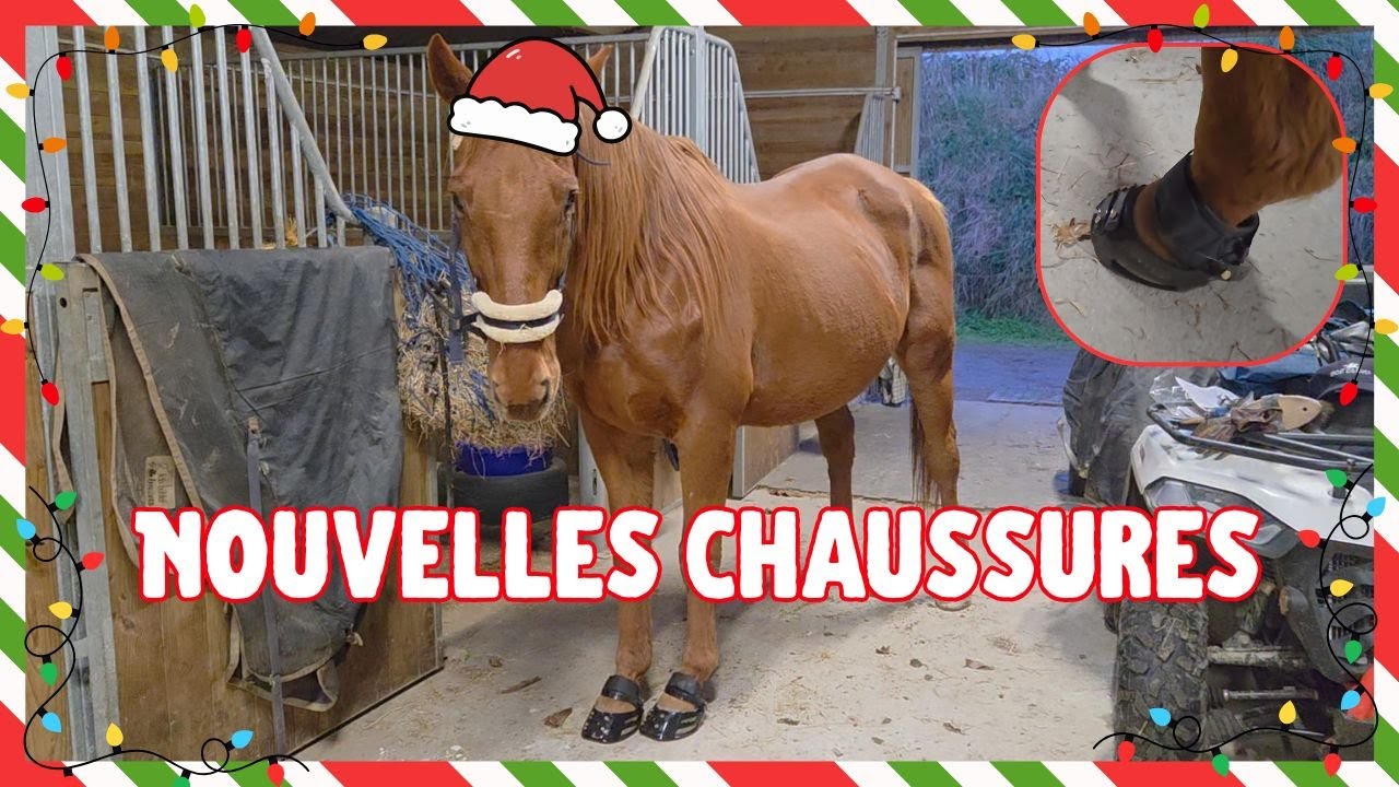 Équi'Mas 2025 - UNE SECONDE JEUNESSE ! - 11 décembre 2025