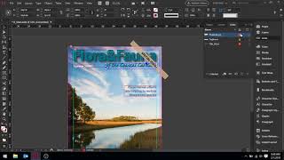 13.1 Preflight & Packaging Files