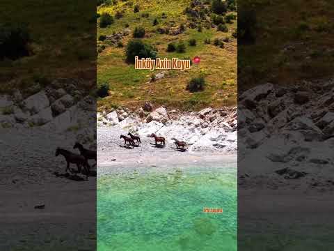 neyşınıl coğrafik van 😎