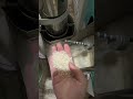 Bright, clean white rice every time. 600kg/h#RiceMillMachine #machine #farming #ricemill #rice