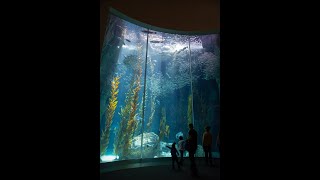 What Are Our Exhibits Made Out Of?
All about β¨acrylicβ¨ What Are Our Exhibits Made Out Of?