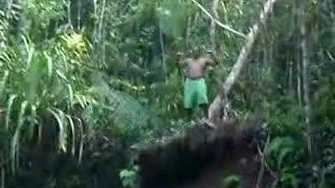 Norman, Conrad and Paul Fiji Trip