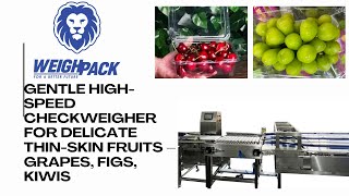 Dynamic Weighing System Checkweigher for Delicate Soft Fruits – Grapes, Figs, Kiwis screenshot 4