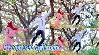 Free preset Lightroom for PC & Mobile, preset urban, elektro, blue ace dll screenshot 5