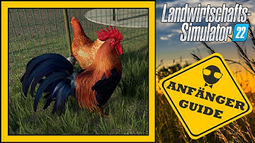 LS22 Anfänger Guide 🤠 Hühner | Farming Simulator 22