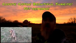 Coyote Trapping, 2022, season 2 Ep.11   Coyote Catch and Set Remake, #Coyote #Topdog #Trapping