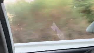 IMG 9764