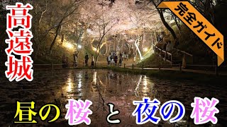 【高遠城】昼桜と夜桜の観光ガイド：アクセス・駐車場・渋滞情報・所要時間・関連史跡や近隣の観光地、お食事処などもご紹介