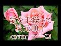 愛を手繰って/秋元順子 cover  マーコ