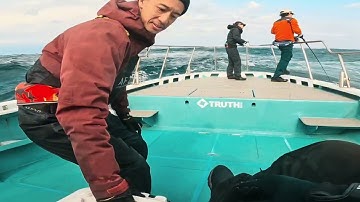 Cách Câu cá ngừ vây xanh khổng lồ ở nhật bản phần 2(cá ngừ trên 200kg) cao tiến câu cá ở nhật