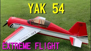 最旬ダウン ラジコン飛行機用 エクストリームフライト ホビーラジコン