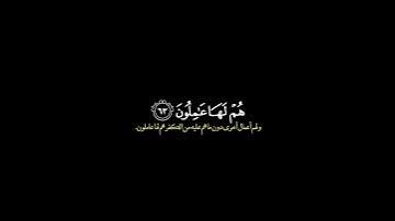 ولا نكلف نفسًا إلا وسعها/ القارئ ماهر المعيقلي #قرآن
