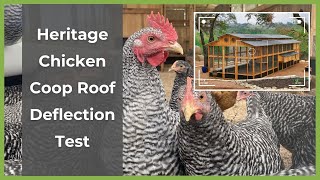 Heritage Chicken Coop Roof Deflection Test | Roost & Root