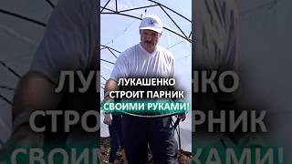 Лукашенко БОСИКОМ строит парник! // "Обрезать надо здесь!" | 2001 год #shorts