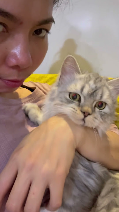 Nasasakal daw sya 🤣 #latte #catlovers #cat #cats