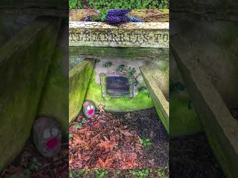 Видео: Постоянные существа попадают на кладбище?