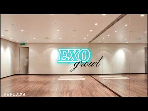 exo - growl // but you're in an empty dance studio