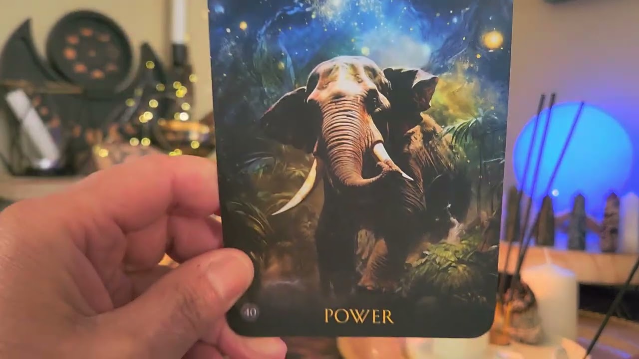 Shiva says.....your debts are paid!  #tarot #tarotreading #tarotcards #tarotreader