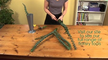 Triangle Nursery - Preparing Eucalyptus for use in flower arrangements