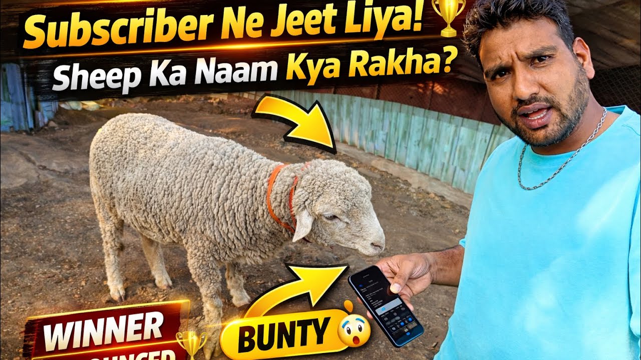 SUBCRIBER NE DIYA MENDE KU NAAM OR HUWA EVENT KE LIYE  SELECT |  MOHSIN KHAN