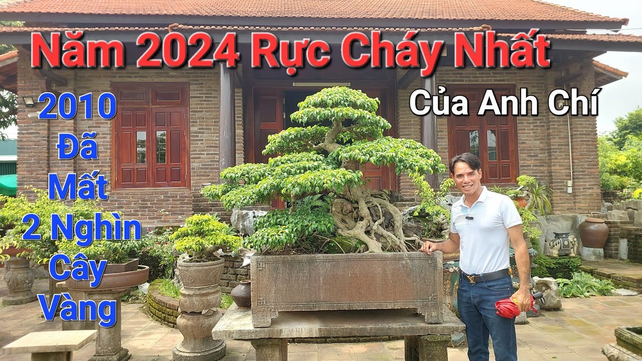 LỜI TỰ SỰ của anh CHÍ ! Để có 1 năm 2024 THÀNH CÔNG NHẤT thì anh cũng đã MẤT 2 NGHÌN CÂY VÀNG .