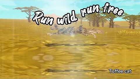 PART ON MAP RUN WILD @LeafTheFox