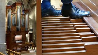 J.s. Bach Praeludium Und Fuge A-Moll Bwv 559 - Jeroen De Haan À Lorgue De Verrières-Le-Buisson