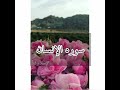 سوره الإنسان للقارئ عبد الرحمن المسعودي بصوت لا يوصف سوره الإنسان للقارئ عبد الرحمن المسعودي بصوت لا يوصف