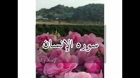 سوره الإنسان للقارئ عبد الرحمن المسعودي بصوت لا يوصف
