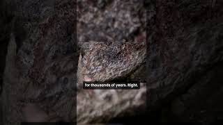 Ancient Creature Discovered in Lost Cave