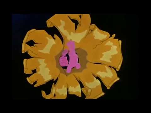 Shiver My Timbers Music Video