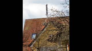 Sirenenstest Schweiz, 05.02.2020