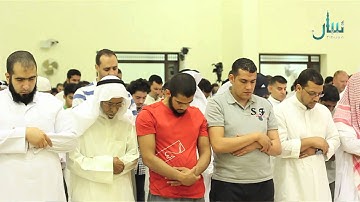 ليلة 28 من رمضان 1433 - سورة الطور- ج1 - القارىء قتيبة الزويد