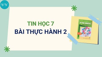 Tin học 7 - Bài thực hành 2 - Làm quen với các kiểu dữ liệu trên trang tính I VyVy Official