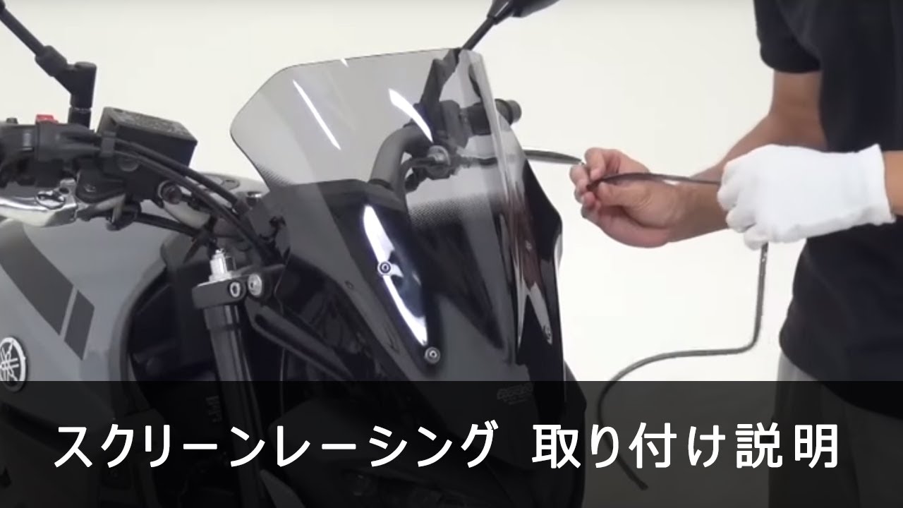 エムアールエー スクリーン レーシング スモーク MT-09 17-20 | MRA